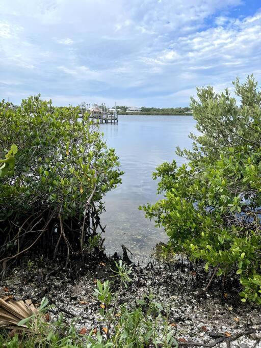 Villa Tropical Bay House Englewood Esterno foto